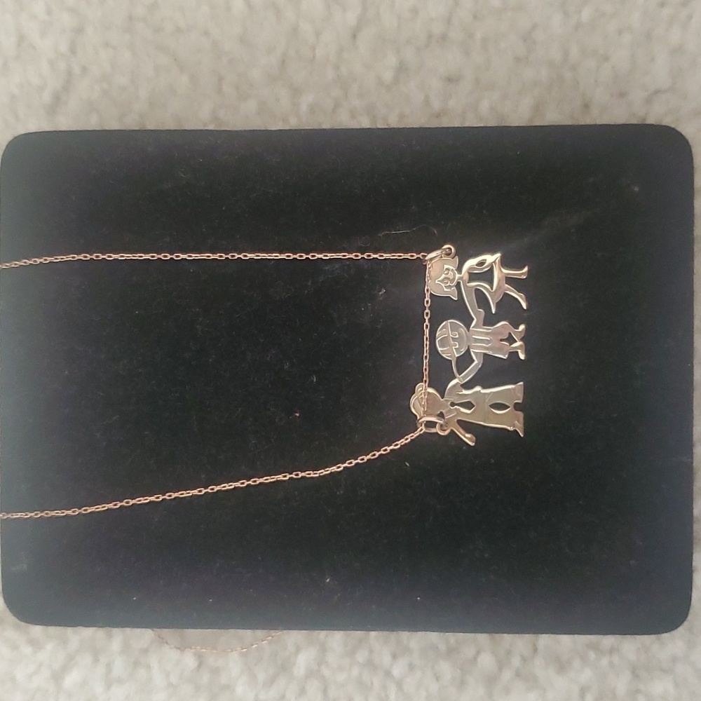 New sterling Silver necklace,familynecklace.